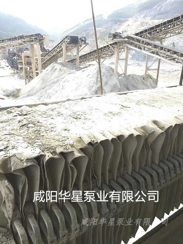 華星泵業(yè)礦山開采尾礦處理案例現場